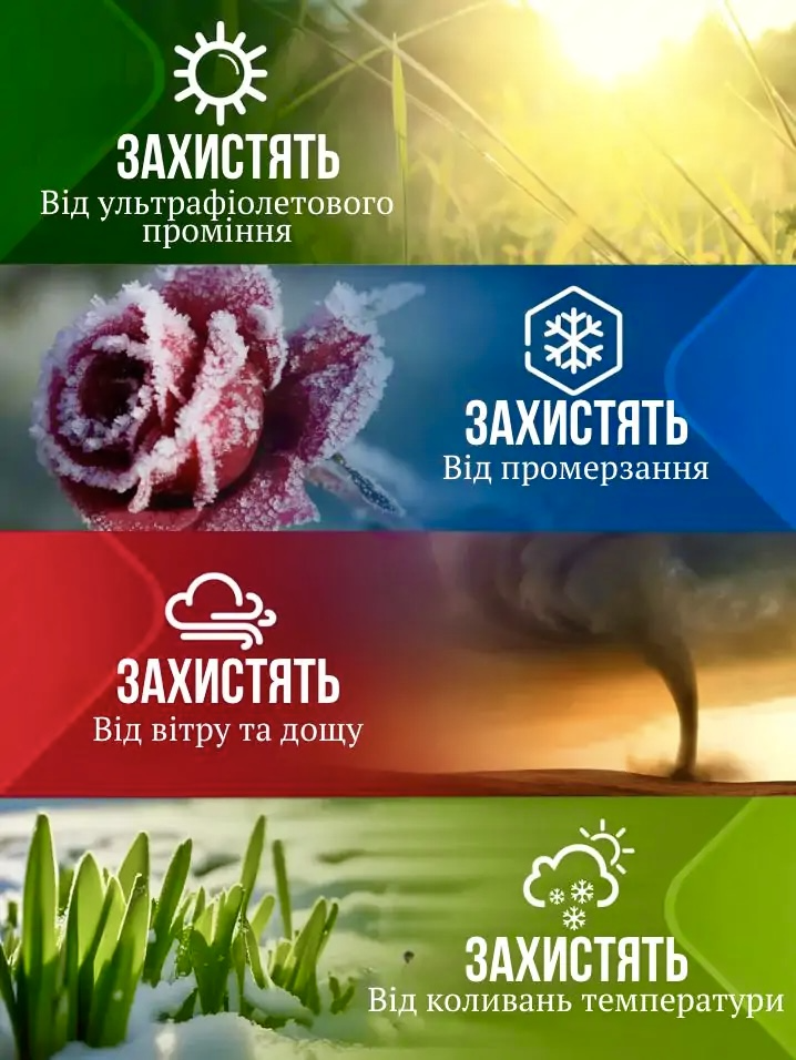 Захист від заморозків